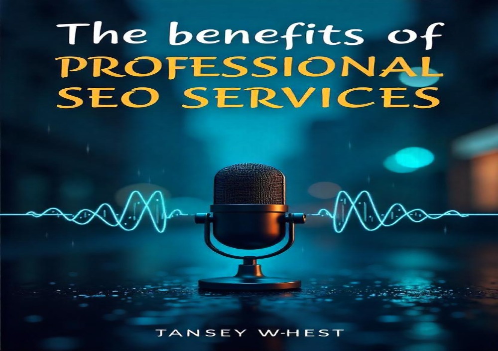 Professional SEO Services in Bangladesh